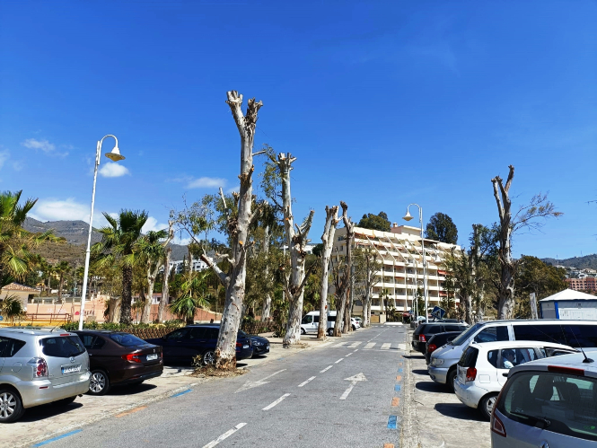 (AYUNTAMIENTO ALMUÑÉCAR) 