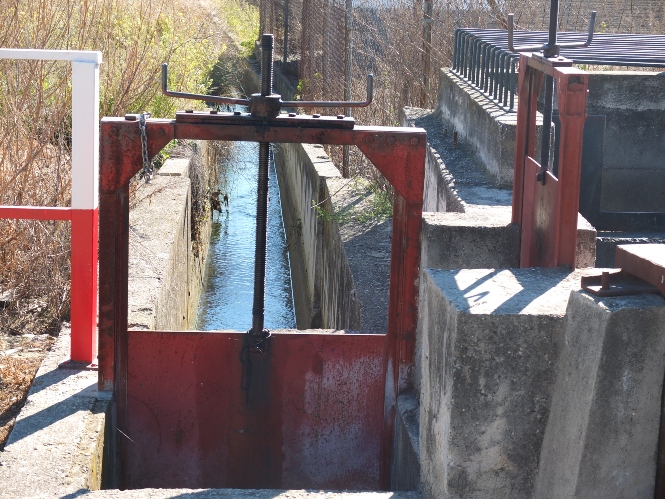 Acequia Gorda del Genil (ASAJA)