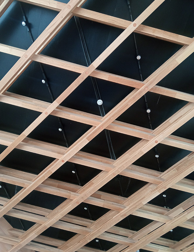 Construcción con madera de Chopo 