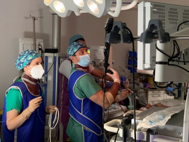 Intervención (JUNTA DE ANDALUCÍA)