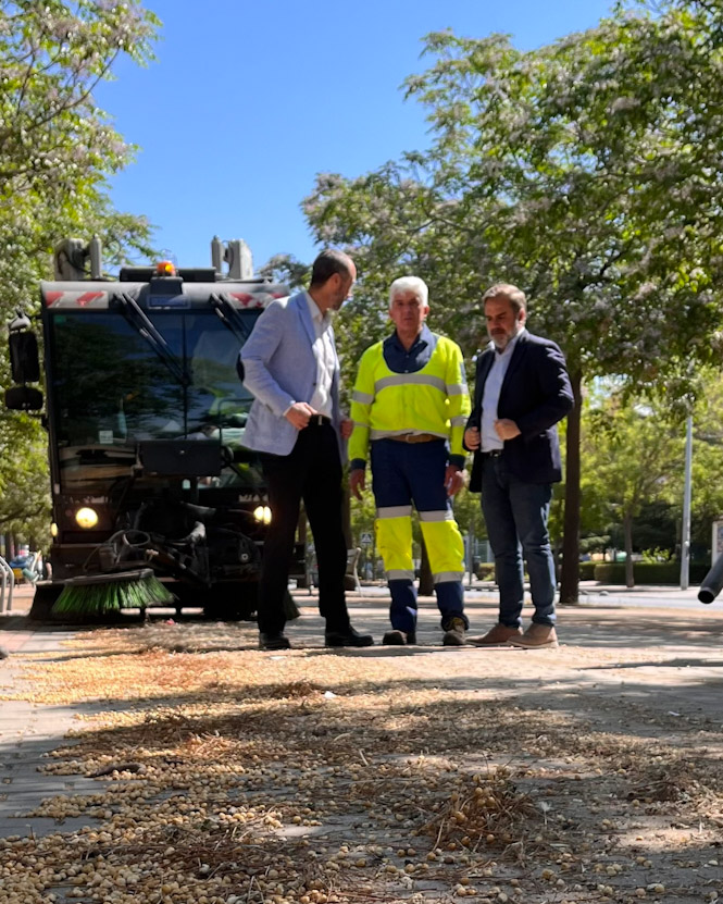 (AYUNTAMIENTO DE GRANADA)