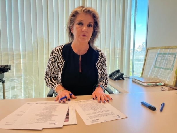 La portavoz popular en Diputación Carmen Lidia Reyes (PP)