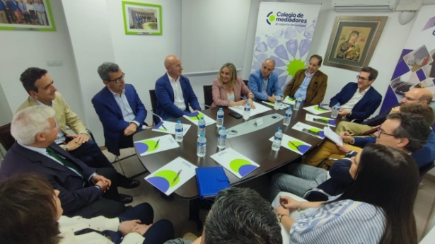 Imagen de la reunión (PP)