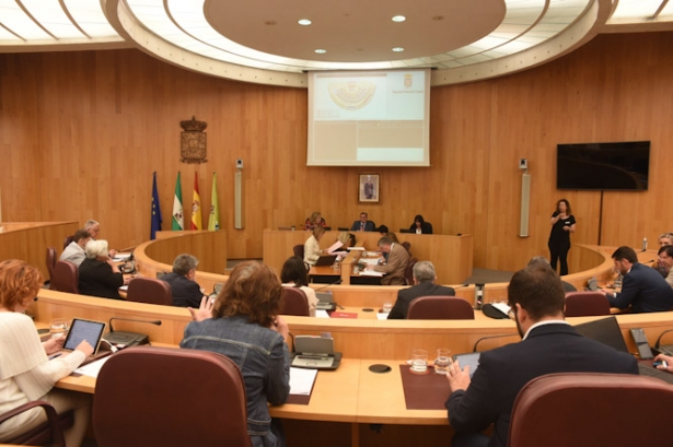 Pleno de la Diputación de Granada (DIPGRA) Pleno de la Diputación de Granada (DIPGRA)