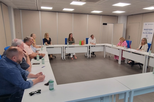 Imagen de la reunión (PP)