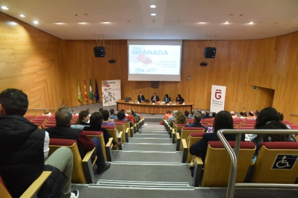 Jornada anterior (DIPGRA) Jornada anterior (DIPGRA)
