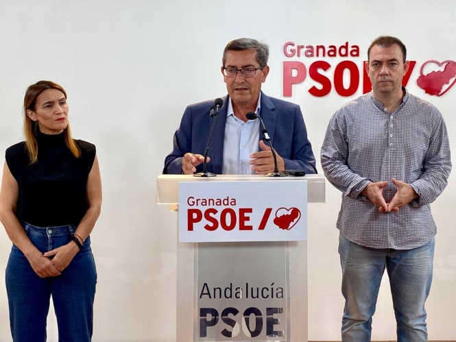 Presentación del programa electoral del PSOE (PSOE)