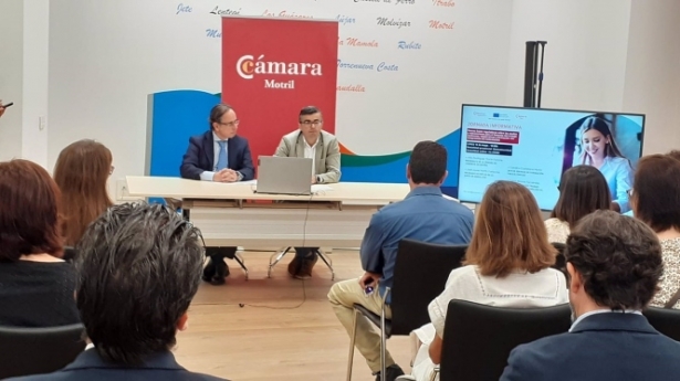 Presentación de la Junta sobre ayudas para autónomos (JUNTA)