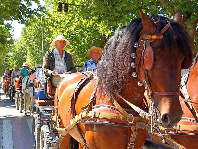 caballistas en la I Ruta en Carruajes `Federico García Lorca` de Fuente Vaqueros.(AYTO. FUENTE VAQUEROS)