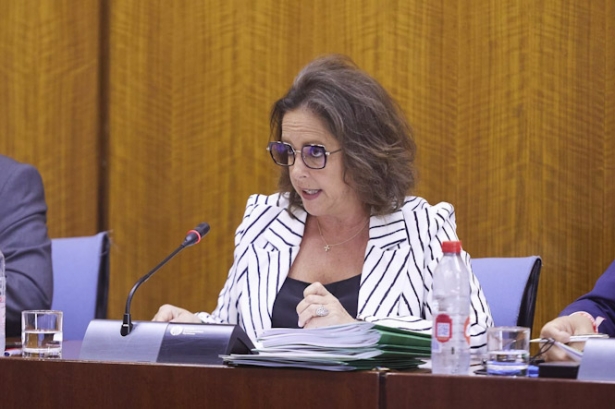 La consejera de Salud y Consumo, Catalina García, en la Comisión parlamentaria del miércoles 24 de mayo. (JOAQUIN CORCHERO / PARLAMENTO DE ANDALUCIA)