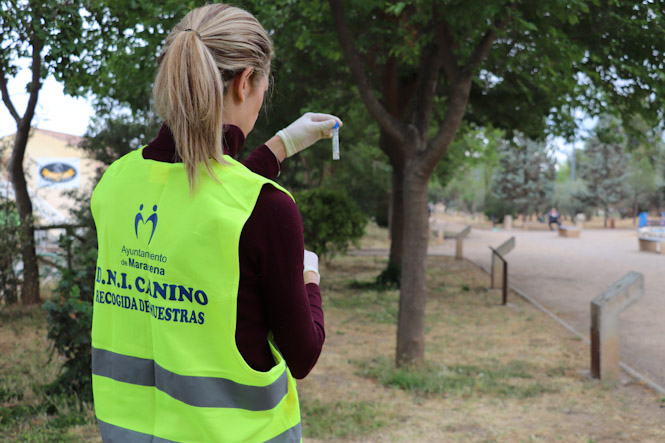 (AYUNTAMIENTO MARACENA)