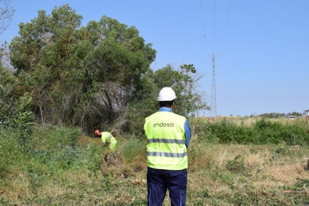 Endesa protege el entorno forestal de más de 5.800 kilómetros de redes eléctricas en Granada. (ENDESA) Endesa protege el entorno forestal de más de 5.800 kilómetros de redes eléctricas en Granada. (ENDESA)