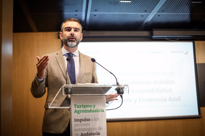 l consejero de Sostenibilidad, Medio Ambiente y Economía Azul y portavoz del Gobierno andaluz, Ramón Fernández-Pacheco (MARÍA JOSÉ LÓPEZ / EUROPA PRESS)