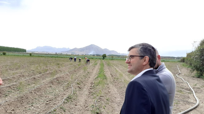 El delegado de empleo, Javier Martín  (JUNTA/ARCHIVO)