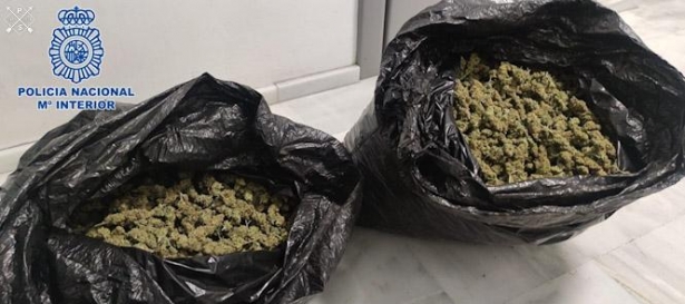 Marihuana incautada (POLICÍA NACIONAL) Marihuana incautada (POLICÍA NACIONAL)