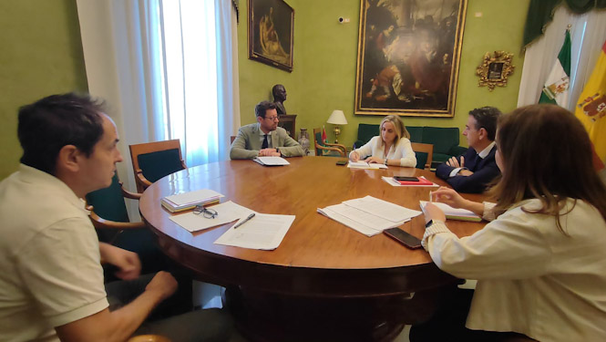 Imagen de la reunión (AYTO. GRANADA)