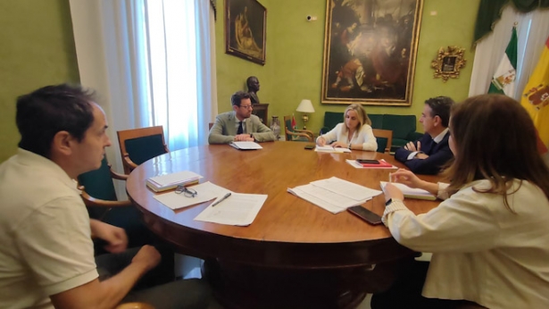 Imagen de la reunión (AYTO. GRANADA)