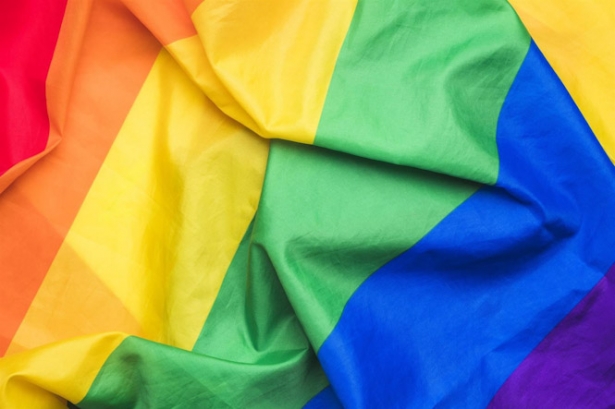 BANDERA LGTBI+ (DIPUTACIÓN FORAL DE ÁLAVA) BANDERA LGTBI+ (DIPUTACIÓN FORAL DE ÁLAVA)