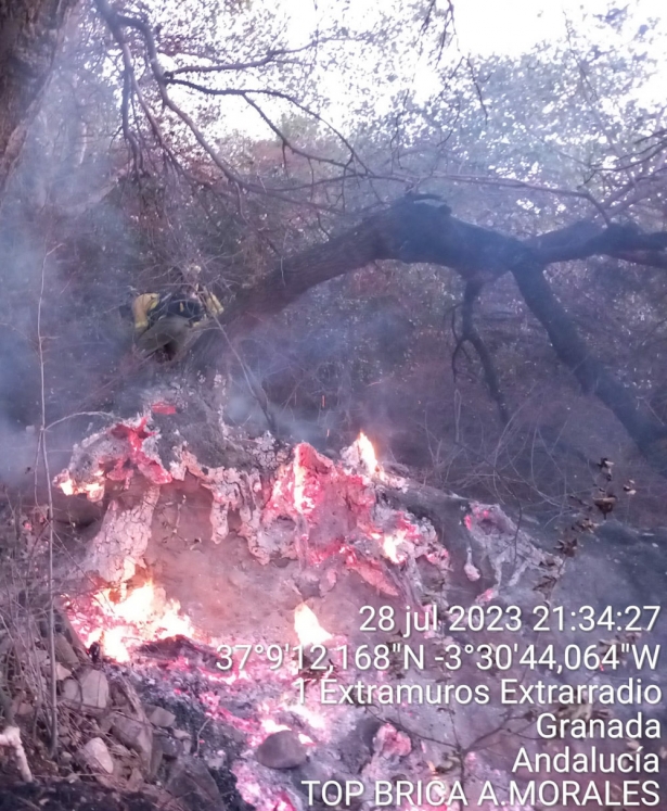 Incendio en Pinos Genil (INFOCA) Incendio en Pinos Genil (INFOCA)