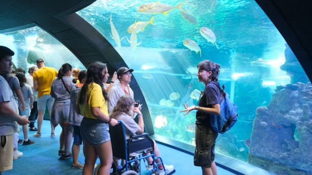 Visita al Biodomo (PARQUE DE LAS CIENCIAS)