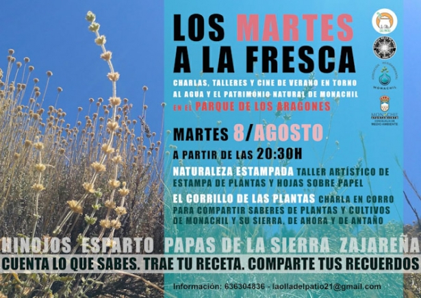 (AYUNTAMIENTO MONACHIL)