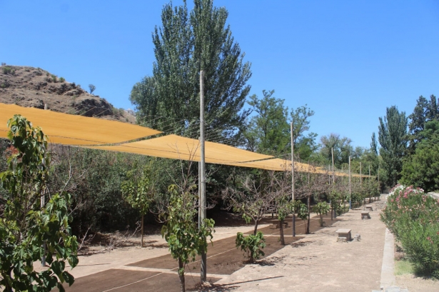 (AYUNTAMIENTO PINOS PUENTE)