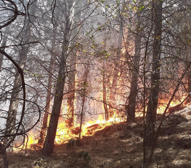 Incendio forestal en Dúrcal (PERFIL DEL INFOCA EN LA RED SOCIAL X)