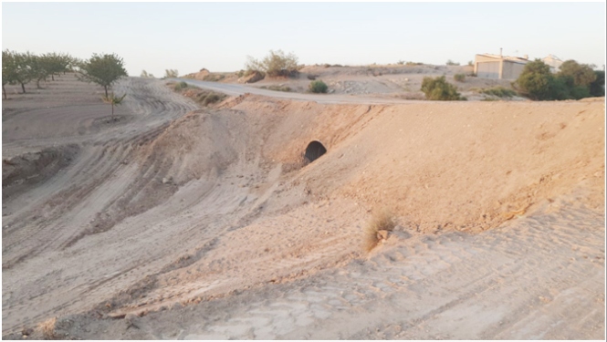 Uno de los caminos que se han rehabilitado (AYTO. BAZA) 