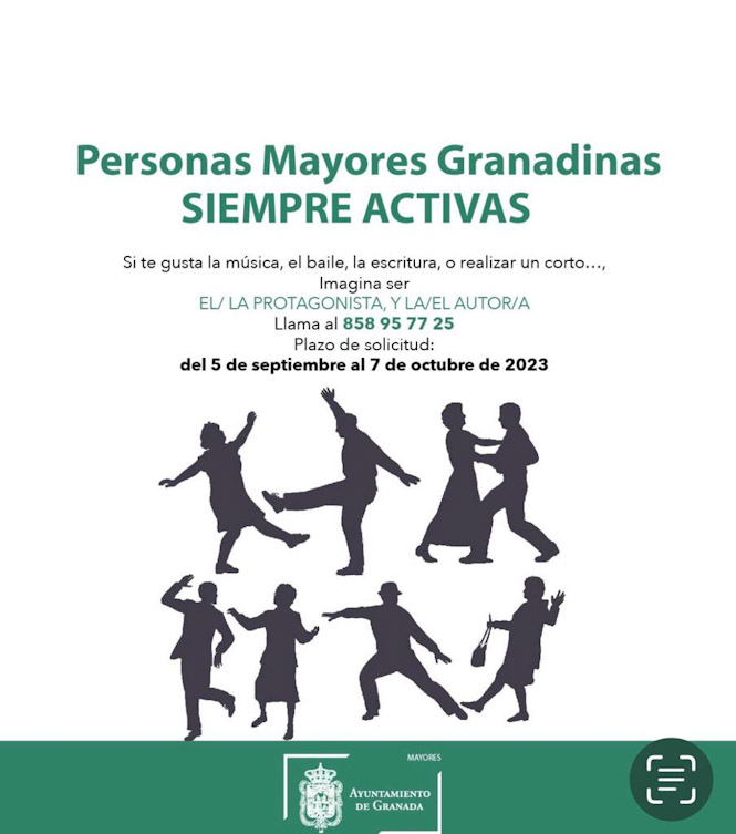 (AYUNTAMIENTO DE GRANADA)