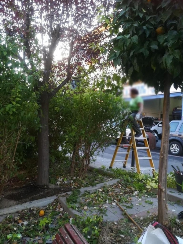 Taller de jardinería de La Zubia (PP)