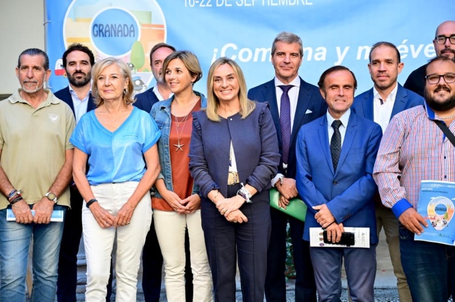 (AYUNTAMIENTO GRANADA)