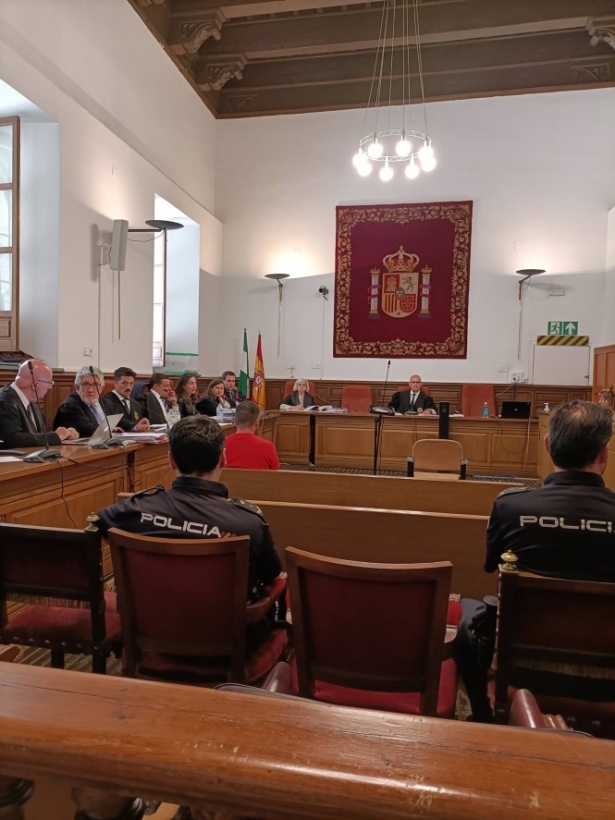 Primera sesión del juicio que se repitió en la Audiencia de Granada contra el acusado de matar a una joven en el polígono de Juncaril, en Albolote (EUROPA PRESS)