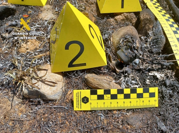 Zona señalada en una incendio. (GUARDIA CIVIL)