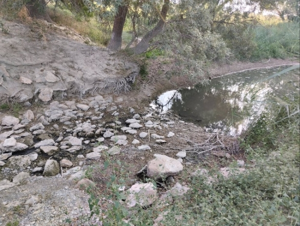 Río Guardal, en término de Benamaurel (VECINOS EN DEFENSA DEL RÍO GUARDAL) 