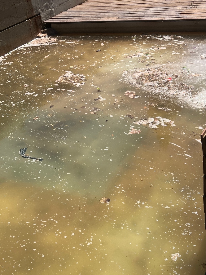 Estanque del Cuarto Real de Santo Domingo (PSOE) 