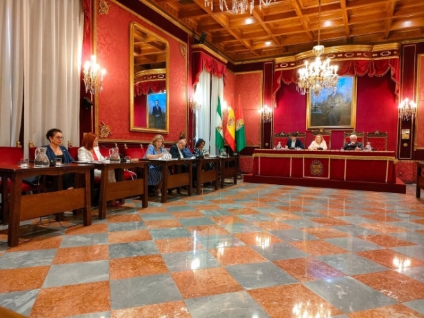 Comisión informativa de Economía y Hacienda, Recursos Humanos y Comercio del Ayuntamiento de Granada (EUROPA PRESS)