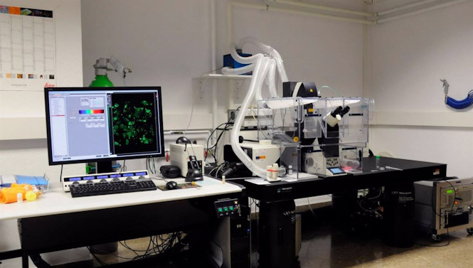 Laboratorio. Archivo (UNIVERSIDAD DE GRANADA)