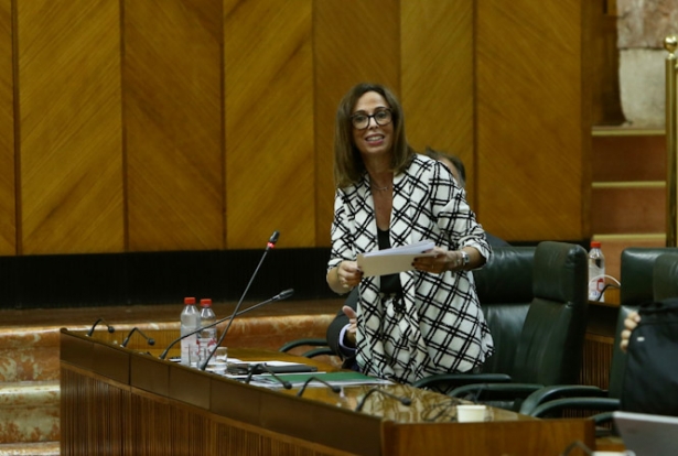 La Consejera de Fomento, Rocío Díaz (JUNTA) La Consejera de Fomento, Rocío Díaz (JUNTA)