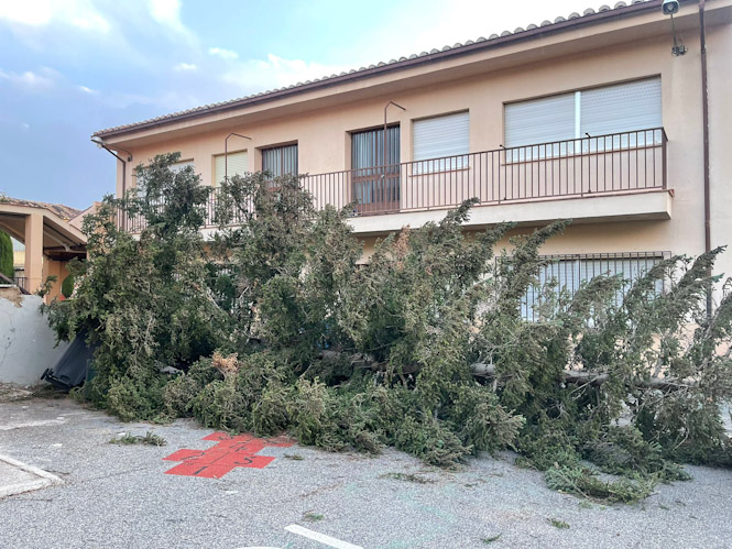Árbol caído en Huétor Vega (AYTO. HUÉTOR VEGA)