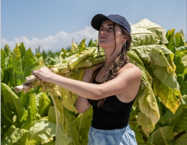 Fotograma de la película `Secaderos` (DIPGRA) 