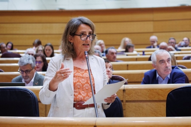 a vicepresidenta tercera y ministra para la Transición Ecológica y el Reto Demográfico en funciones, Teresa Ribera (ALEJANDRO AMRTÍNEZ VÉLEZ / EUROPA PRESS)