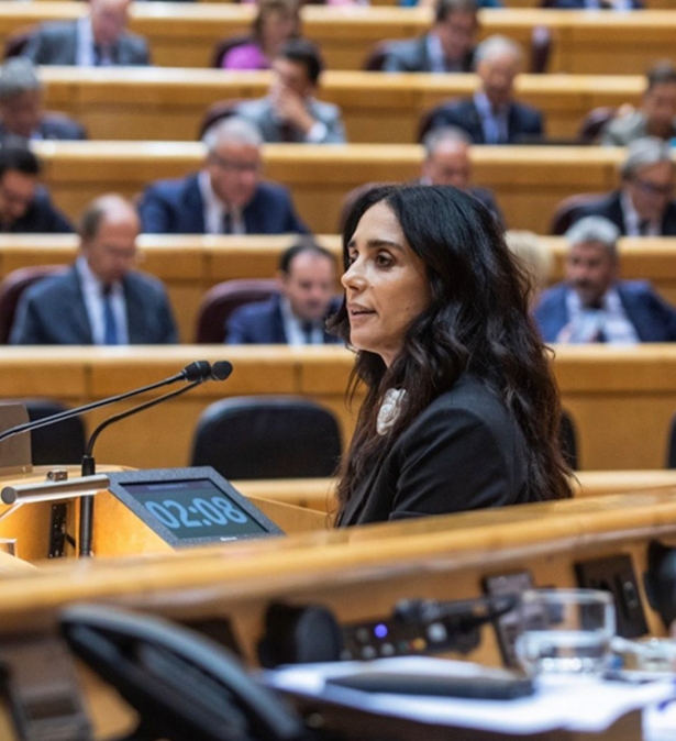 La senadora de VOX, Paloma Gómez Enríquez (VOX) La senadora de VOX, Paloma Gómez Enríquez (VOX)