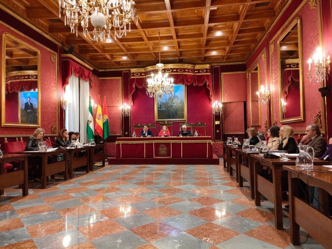 Comisión de Economía y Hacienda del Ayuntamiento de Granada (EUROPA PRESS)
