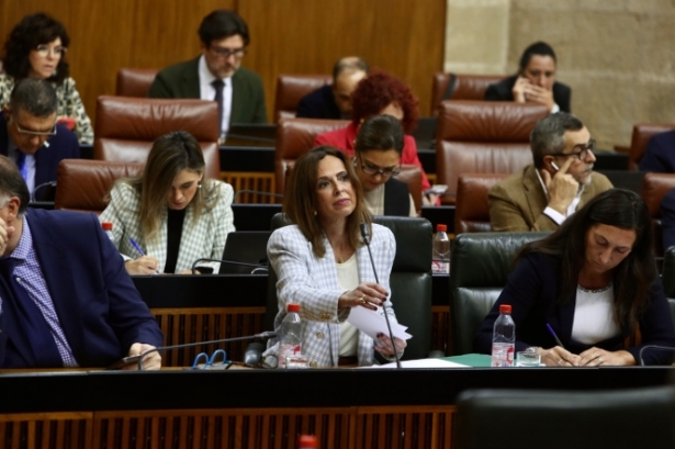 Rocío Díaz en el Parlamento de Andalucía (JUNTA)