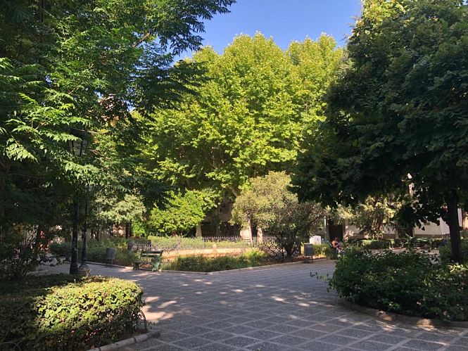 Una plaza de Granada (AYTO. GRANADA)