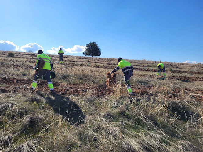 Doce personas de UNEI, la mayoría con discapacidad, inicia este mes la campaña de plantaciones en el Anillo Verde de Granada (UNEI)