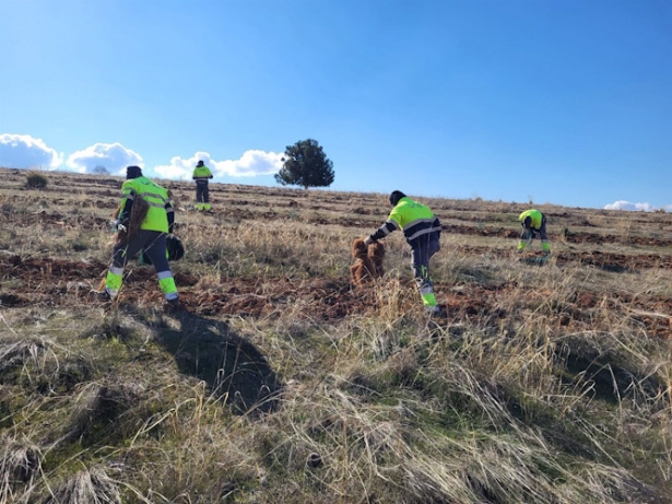 Doce personas de UNEI, la mayoría con discapacidad, inicia este mes la campaña de plantaciones en el Anillo Verde de Granada (UNEI)
