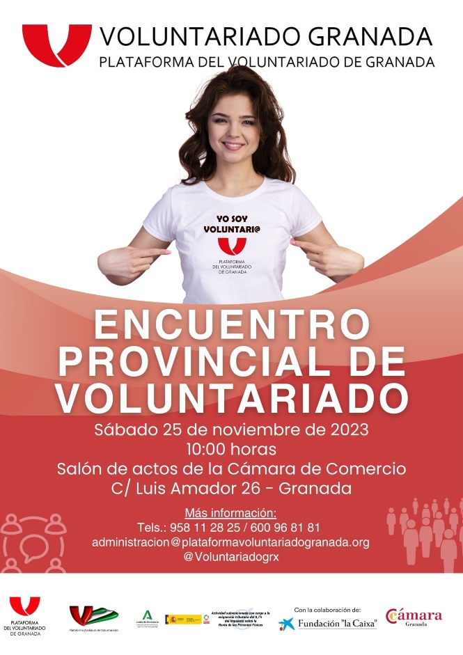 (PLATAFORMA DEL VOLUNTARIADO)