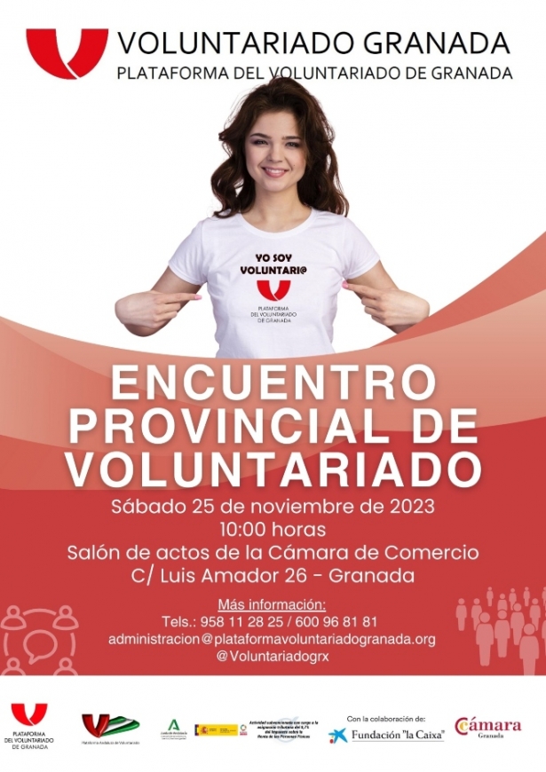 (PLATAFORMA DEL VOLUNTARIADO)