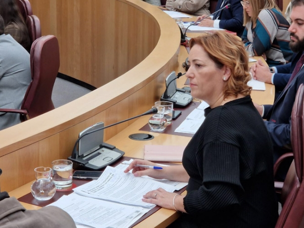 Mari Carmen Pérez (IU)